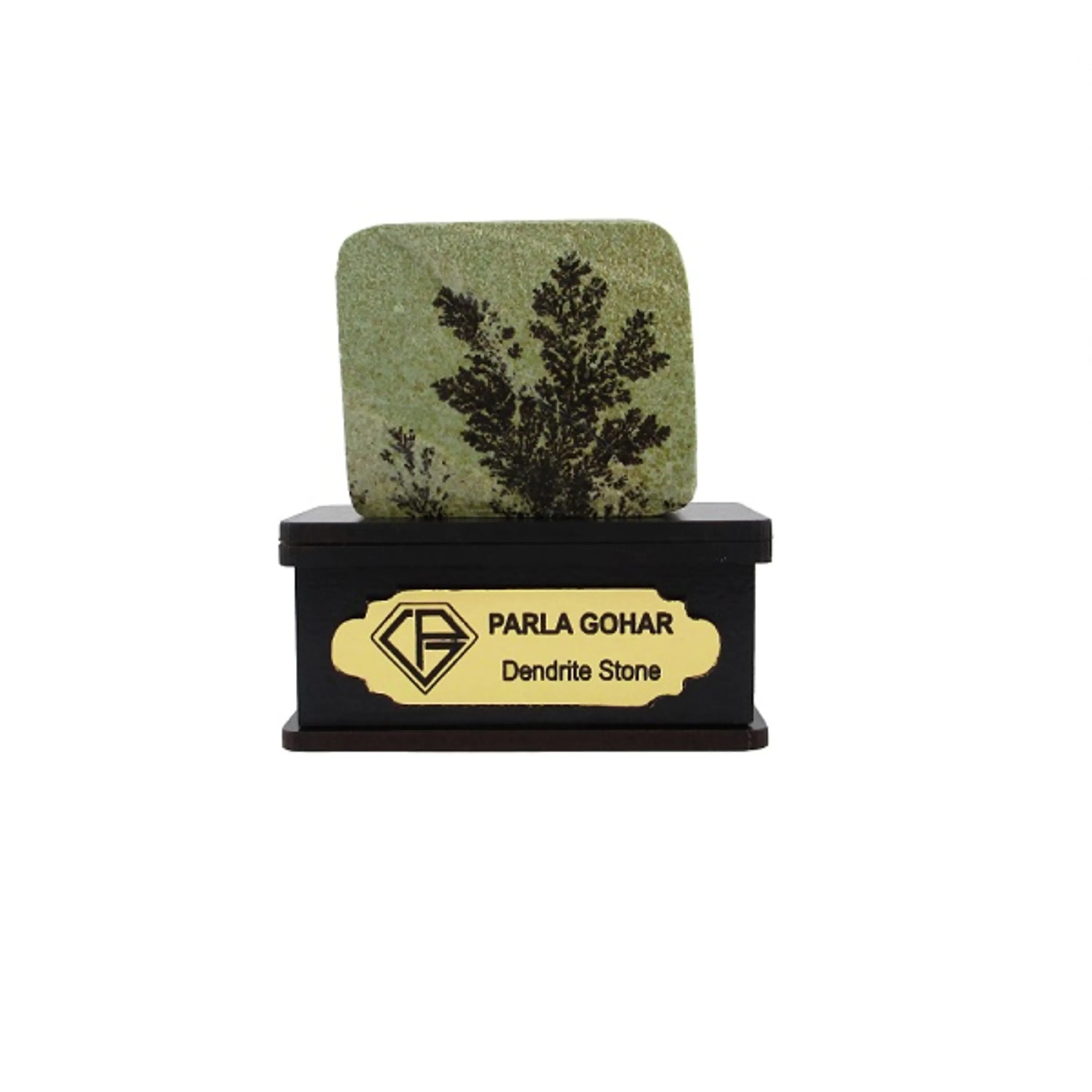 شجر راف کد 2349